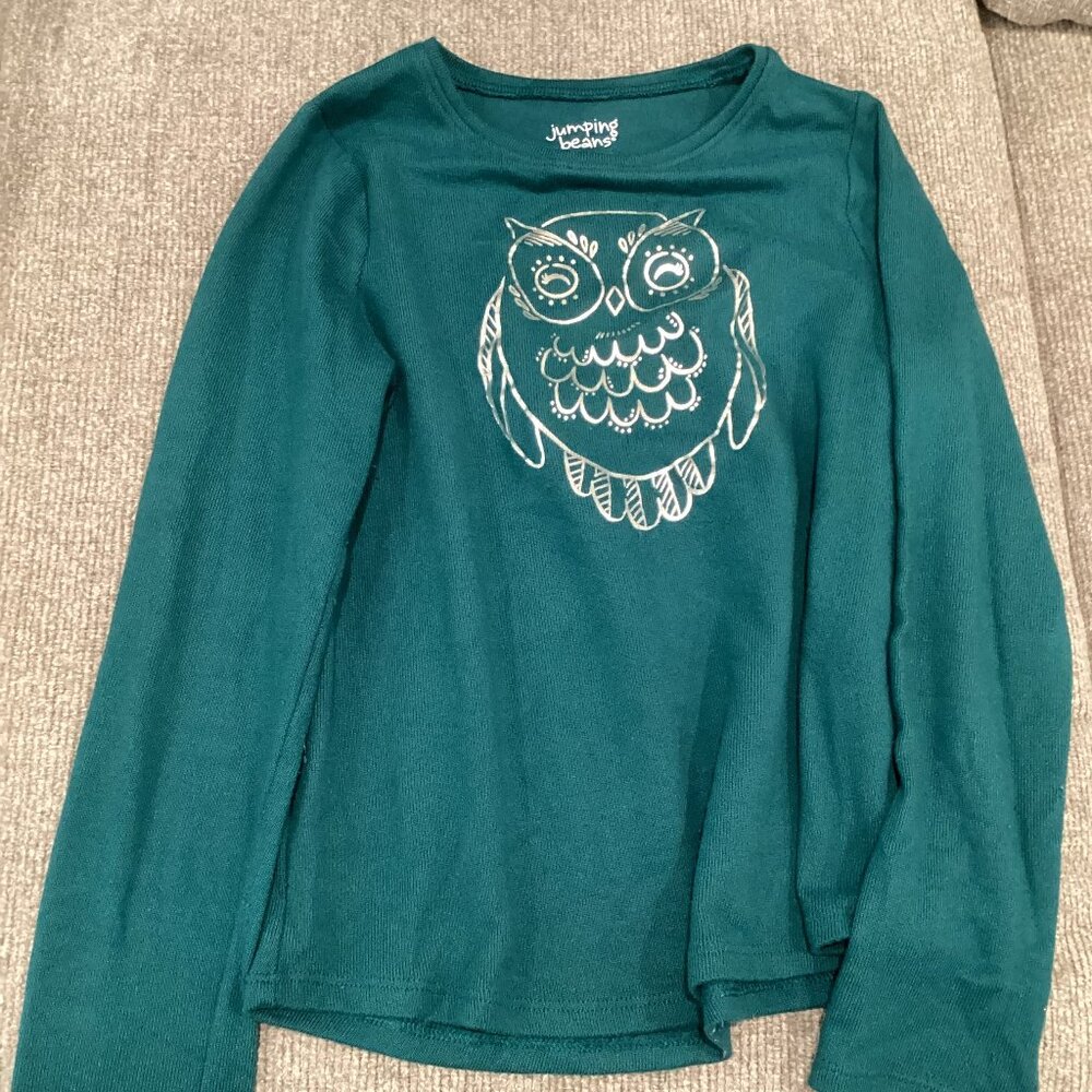 Jumping Bean Long Sleeve, Teal Light Sweater w/ Silver Owl, Size 8